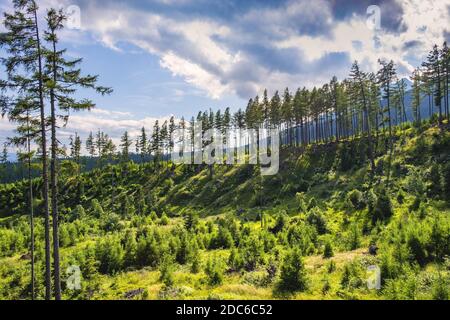 Panoramablick auf das Sub-Tatra-Tiefland unter dem Hochplateau von Skalnate Pleso am Gipfel von Lomnica - Lomicky stit - in der slowakischen Tatra in der Nähe von Tatranska Stockfoto