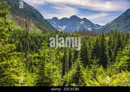 Panoramablick auf die Tatra mit Mieguszowieckie Szczyty Bergrücken über Rybi Potok Tal von der Spur zum Morskie Oko See, in der Nähe Zakopane i gesehen Stockfoto