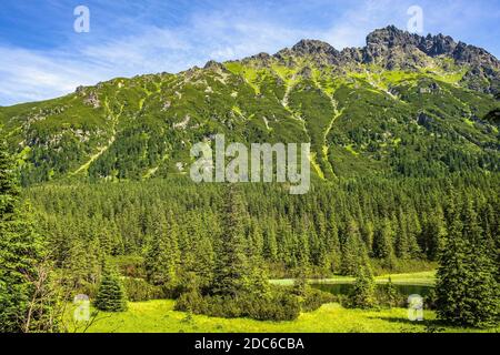 Panoramablick auf den Seven Granats Grat - Siedem Granatow - innerhalb der Zabia Gran Range über das Rybi Potok Tal in der Tatra, bei Zakopane in Stockfoto