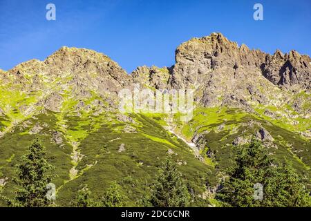 Panoramablick auf den Seven Granats Grat - Siedem Granatow - innerhalb der Zabia Gran Range über das Rybi Potok Tal in der Tatra, bei Zakopane in Stockfoto