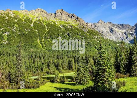 Panoramablick auf den Seven Granats Grat - Siedem Granatow - innerhalb der Zabia Gran Range über das Rybi Potok Tal in der Tatra, bei Zakopane in Stockfoto