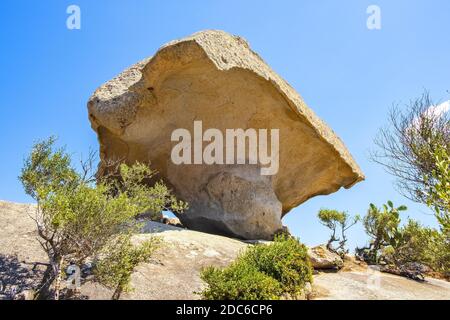 Arzachena, Sardinien / Italien - 2019/07/19: Prähistorischer Granit Pilz Felsen - Roccia il Fungo - aus neolithischer Nuraghenzeit, Symbol von Arzachena, Sassar Stockfoto