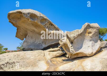 Arzachena, Sardinien / Italien - 2019/07/19: Prähistorischer Granit Pilz Felsen - Roccia il Fungo - aus neolithischer Nuraghenzeit, Symbol von Arzachena, Sassar Stockfoto