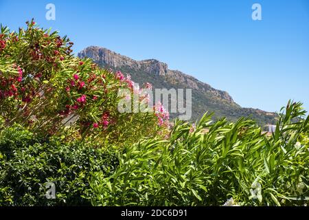 Panoramablick auf die Kapklippen und Felsen von Capo Figari mit Monte Ruju-Mount an der Tyrrhenischen Meeresküste in Golfo Aranci, Sardinien, Italien Stockfoto