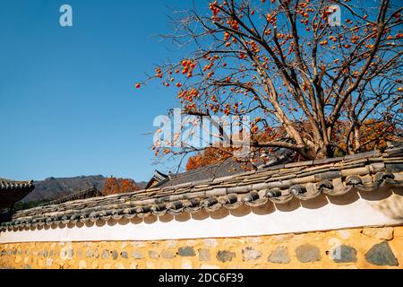 Herbst des Tongdosa-Tempels, UNESCO-Weltkulturerbe in Yangsan, Korea Stockfoto