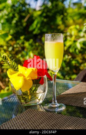 Ein tropischer Sekt-Cocktail, serviert in einer Sektflöte Ein Bartisch im Hare Uta Hotel (Ehemals Hare Noi Hotel) auf der Osterinsel (Rapa Nui) Stockfoto