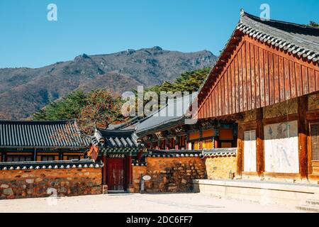 Herbst des Tongdosa-Tempels, UNESCO-Weltkulturerbe in Yangsan, Korea Stockfoto