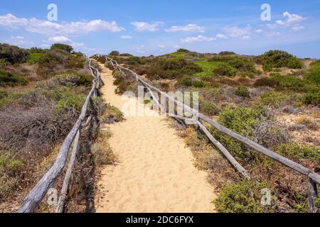 Panoramablick auf die Halbinsel Spalmatore di Terra Marine Naturschutzgebiet mit mediterranem Gestrüpp der Insel Isola Tavolara auf Tyrrheni Stockfoto