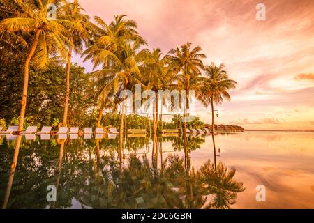 Palmen Stühle rund um Infinity-Pool in der Nähe Meer Ozean Strand bei Sonnenaufgang oder Sonnenuntergang Zeit. Für Urlaubsreisen und Urlaubskonzept, Sommerresort Stockfoto