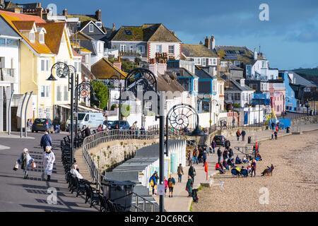 Lyme Regis, Dorset, Großbritannien. November 2020. UK Wetter: Helle Sonnenzauber im Badeort Lyme Regis. Die Einheimischen genießen eine kurze Pause vom trüben und nassen Wetter. Kredit: Celia McMahon/Alamy Live Nachrichten Stockfoto