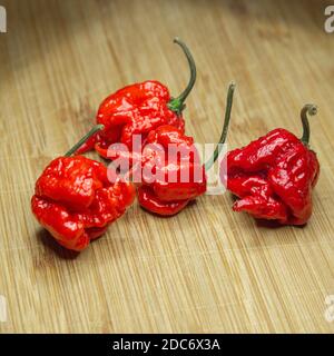 Carolina Reaper, der heißeste chilli (Capsicum chinense), ganze reife Hülse, auf Holzhintergrund. Superscharfer oder extrem scharfer chilischote Stockfoto