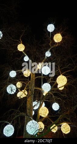 Neon, glühende Kugeln auf einem Baum Stockfoto