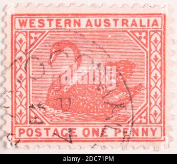 Antwerpen, Belgien - 17. November 2020: Ein Briefmarkendruck der Australian Post, präsentiert einen Schwan Stockfoto