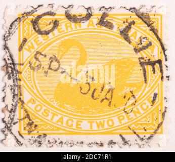 Antwerpen, Belgien - 17. November 2020: Ein Briefmarkendruck der Australian Post, präsentiert einen Schwan Stockfoto