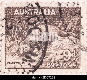 Antwerpen, Belgien - 17. November 2020: Ein Stempeldruck von Australian Post, präsentiert Schnabeltier Stockfoto