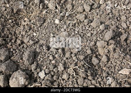 Frisch bebauter Boden in einem landwirtschaftlichen Feld Stockfoto