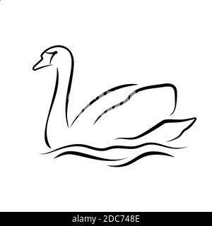 Swan Logo Kunst Vorlage Vektor Illustration Design Stock Vektor