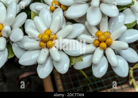 Zuckerüberzogene Mandelblüten, traditionelle historische Stadt süße Spezialität, in hellem Licht aufgenommen in Sulmona, L'Aquila, Abruzzen, Italien Stockfoto