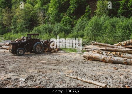 Ein Traktor, der einige Baumstämme bewegt Stockfoto