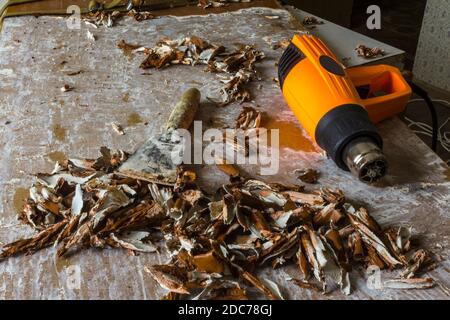 Restaurierung einer alten Tür. Alte Lackschichten mit einer Heißluftpistole und einem Spachtel entfernen. Nahaufnahme . Verdrehte Stücke von alter brauner Farbe. Stockfoto