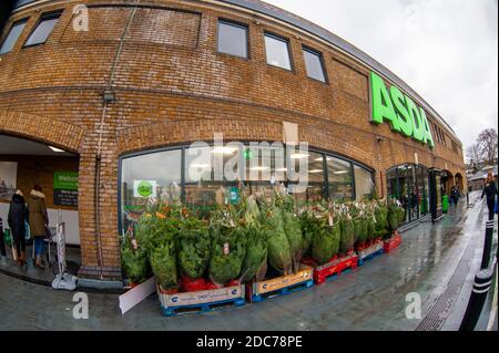 London, Großbritannien. November 2020. Weihnachtsbäume werden in Asda in Clapham Junction, Battersea, verkauft, inmitten der Ungewissheit, ob zu Weihnachten Sperrbeschränkungen für Coronaviren in Kraft sein werden und wenn ein Sonderfall gemacht wird, der andere Religionen ignoriert. Kredit: JOHNNY ARMSTEAD/Alamy Live Nachrichten Stockfoto