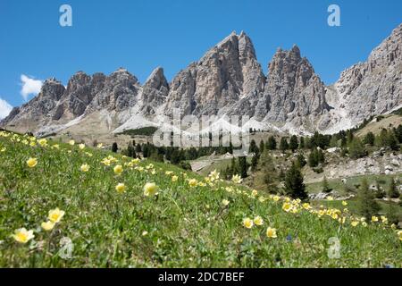 Cime Cir, Cir Spitzen Stockfoto