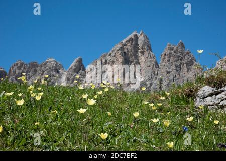 Cime Cir, Cir Spitzen Stockfoto