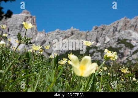 Cime Cir, Cir Spitzen Stockfoto