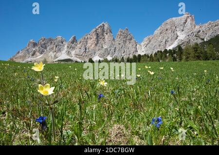 Cime Cir, Cir Spitzen Stockfoto