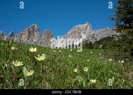 Cime Cir, Cir Spitzen Stockfoto