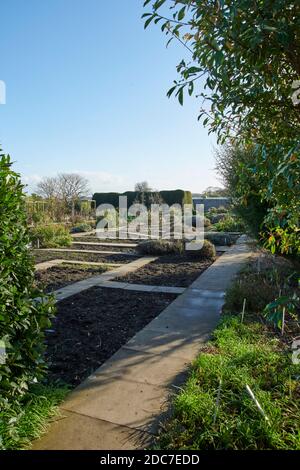 Kalter Herbsttag im ummauerten Garten von Burton Agnes Hall, Nordengland, GB. Stockfoto