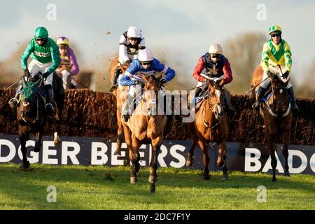 Tamaroc De Mathan unter Harry Cobden (blaue und rosa Seide) gewinnt die Visit racingtv.com Novices' Limited Handicap Chase auf der Wincanton Racecourse. Stockfoto