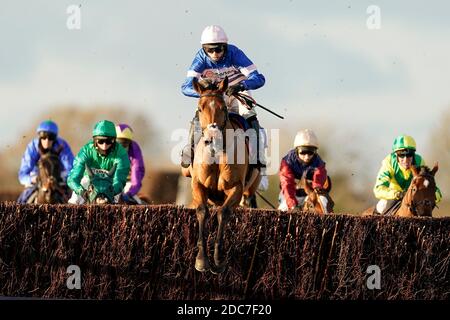 Tamaroc De Mathan unter Harry Cobden (blaue und rosa Seide) gewinnt die Visit racingtv.com Novices' Limited Handicap Chase auf der Wincanton Racecourse. Stockfoto