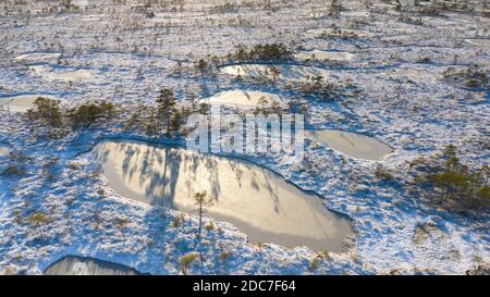 Luftaufnahme zur estnischen Torfmoorlandschaft mit der Frische Abdeckung von Schnee und Eis auf Mukri Moor Natur Reservieren Stockfoto