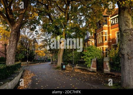 Herbstfarben in New Walk, einem baumgesäumten Fußmarsch aus dem Jahr 1785, in Leicester, England. Stockfoto