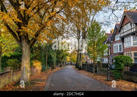 Herbstfarben in New Walk, einem baumgesäumten Fußmarsch aus dem Jahr 1785, in Leicester, England. Stockfoto