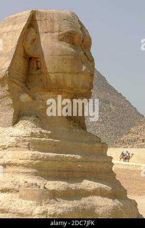 DIE HOCHEBENE VON GIZEH, ÄGYPTEN Stockfoto