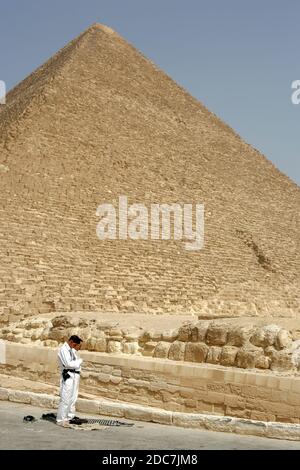 DIE HOCHEBENE VON GIZEH, ÄGYPTEN Stockfoto