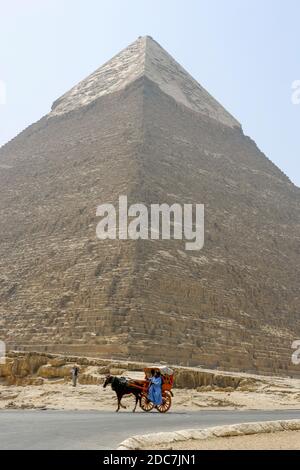 DIE HOCHEBENE VON GIZEH, ÄGYPTEN Stockfoto