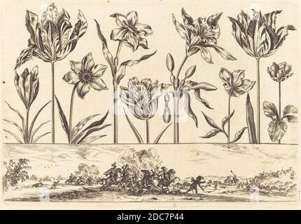 Nicolas Cochin, (Künstler), französisch, 1610 - 1686, Balthasar Moncornet, (Künstler nach), französisch, c.. 1600 - 1668, Blumendruck Nr. 2, Livre Nouveau de Fleurs, (Serie), 1645, Radierung Stockfoto