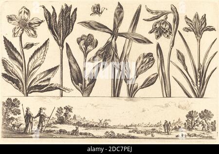 Nicolas Cochin, (Künstler), französisch, 1610 - 1686, Balthasar Moncornet, (Künstler nach), französisch, c.. 1600 - 1668, Blumendruck Nr. 4, Livre Nouveau de Fleurs, (Serie), 1645, Radierung Stockfoto