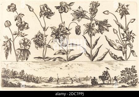Nicolas Cochin, (Künstler), französisch, 1610 - 1686, Balthasar Moncornet, (Künstler nach), französisch, c.. 1600 - 1668, Blumendruck Nr. 6, Livre Nouveau de Fleurs, (Serie), 1645, Radierung Stockfoto