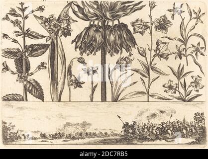 Nicolas Cochin, (Künstler), französisch, 1610 - 1686, Balthasar Moncornet, (Künstler nach), französisch, c.. 1600 - 1668, Blumendruck Nr. 10, Livre Nouveau de Fleurs, (Serie), 1645, Radierung Stockfoto