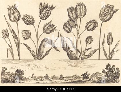 Nicolas Cochin, (Künstler), französisch, 1610 - 1686, Balthasar Moncornet, (Künstler nach), französisch, c.. 1600 - 1668, Blumendruck Nr. 12, Livre Nouveau de Fleurs, (Serie), 1645, Radierung Stockfoto