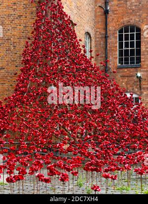 Weeping Willow von der Installation Blood Sweepte Lands and Seas of Red von Paul Cummins im Juli 2017 in der Derby Silk Mill zu sehen. Stockfoto