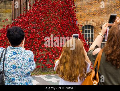 Menschen fotografieren Weeping Willow aus der Installation Blood Sweepen Lands and Seas of Red von Paul Cummins in Derby Silk Mill im Juli 2017. Stockfoto