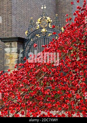 Weeping Willow von der Installation Blood Sweepte Lands and Seas of Red von Paul Cummins im Juli 2017 in der Derby Silk Mill zu sehen. Stockfoto