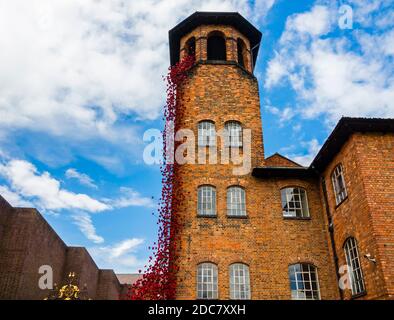 Weeping Willow von der Installation Blood Sweepte Lands and Seas of Red von Paul Cummins im Juli 2017 in der Derby Silk Mill zu sehen. Stockfoto