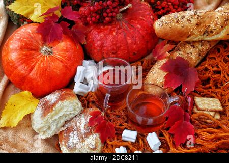 Picknick im Herbstpark mit Kürbissen, Tee Stockfoto