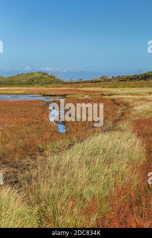 Panorama des Naturparks De Slufter auf der Watteninsel Texel, Nordholland, Niederlande Stockfoto